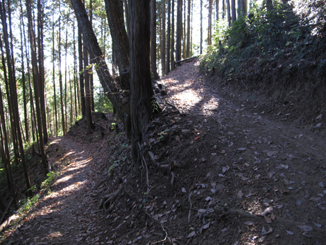 20151127hike (60)